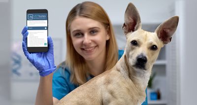 New support app for small animal practitioners